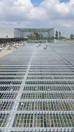鸽舍钢格栅钢格板